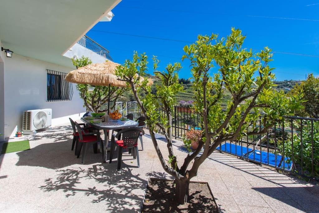 Appartement Echapee Belle - Vinayard View - Jacuzzi Bbq - Parking à Nice Extérieur photo